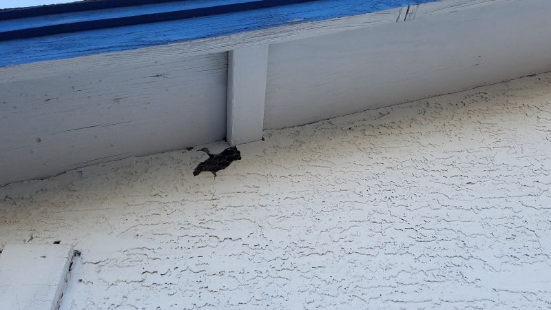 Stucco Siding Repair